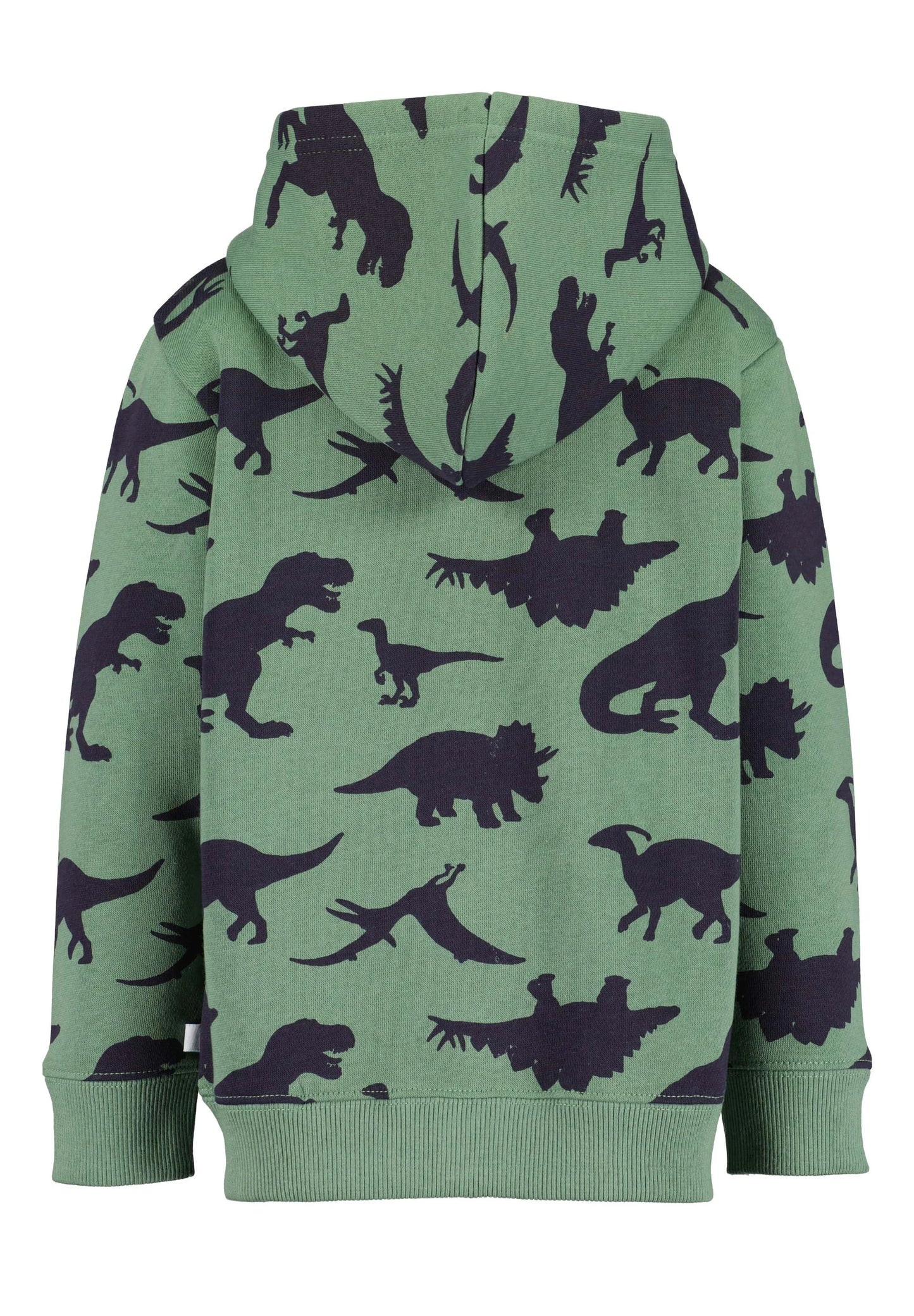 Green Dino Hoodies